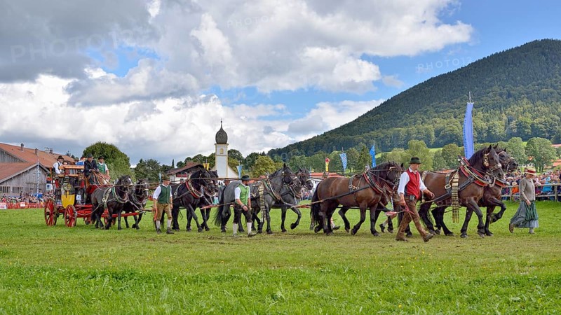 Ten-horse carriage with Noric horses from Abtenau in Salzburg Land