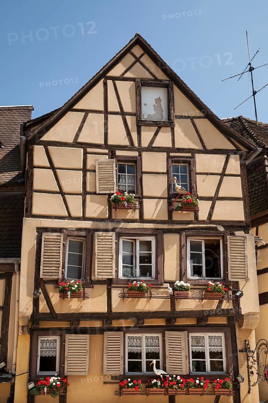Half-timbered house with stork figures in the historic centre