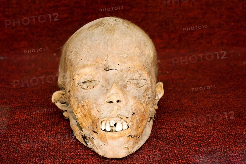 Mummy in the Mummies' Museum