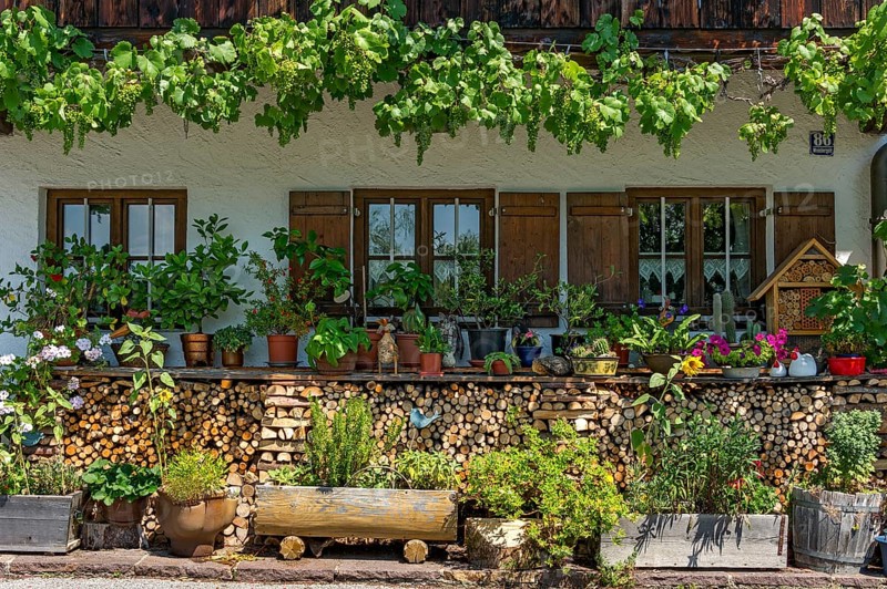 Farmhouse with flowers and vines