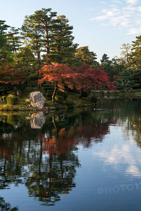 Trees with red autumn leaves by the water