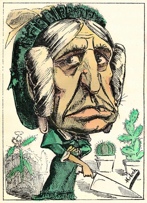 BELLE MERE