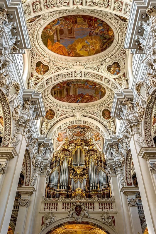 Organ