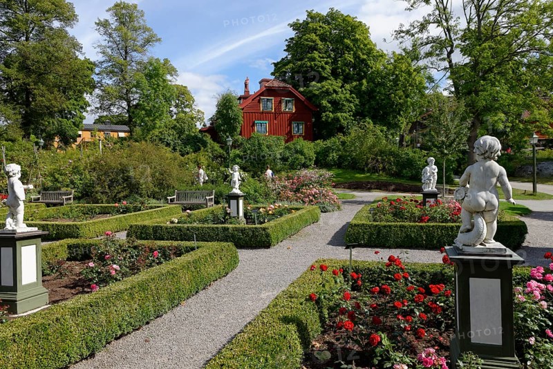 Rose garden