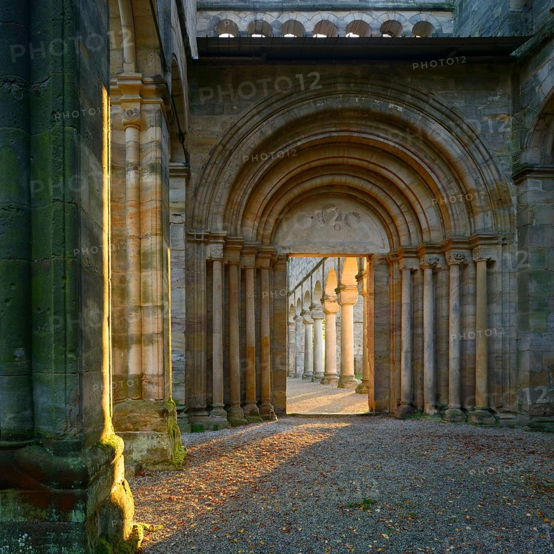 Ruins of the monastery church of Paulinzella in the morning light