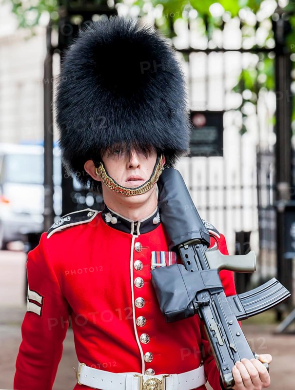 Guard of the Royal Guard with bearskin hat and gun during the changing of the guard