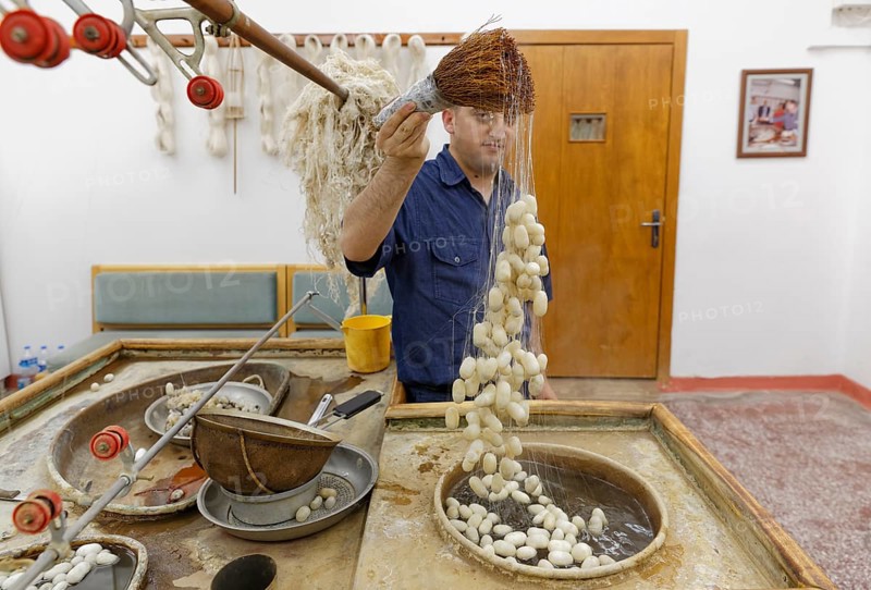 Raw silk and silk cocoons