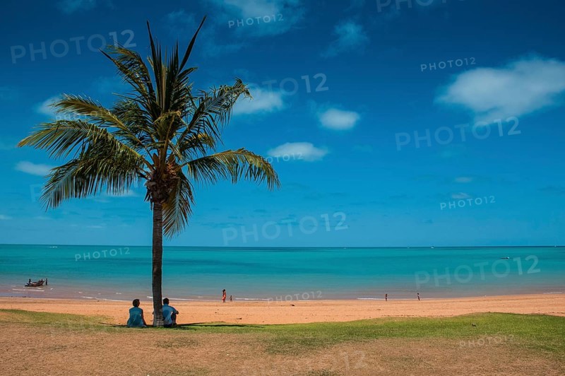 Tourists underneath a palm