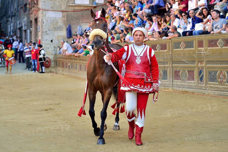 Horse and horse leader of the Contrada of the Giraffe