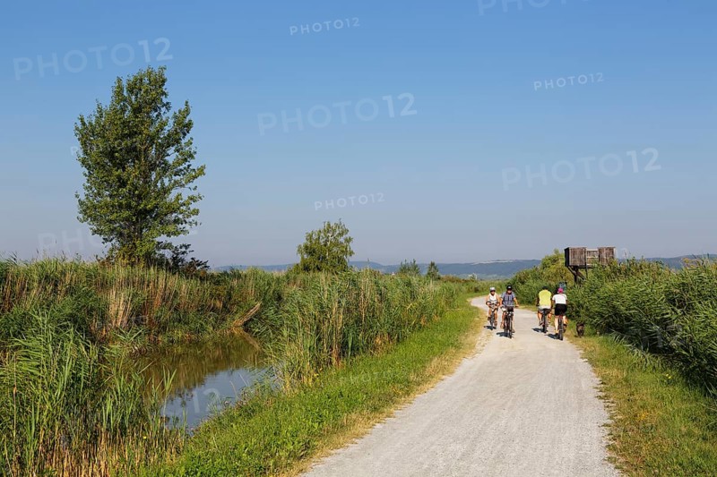 Cyclists at the canal in Purbach am Neusiedler See