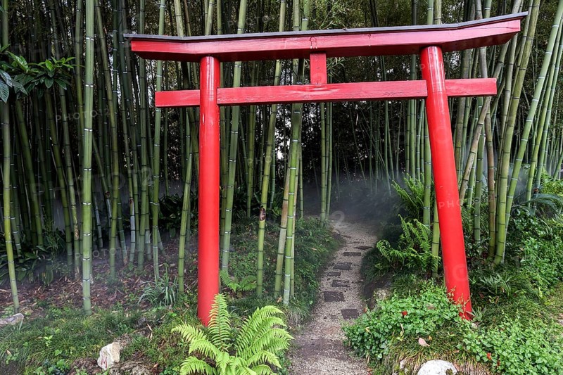 Bamboo grove with Japanese Torii gate at the Botanical Gardens
