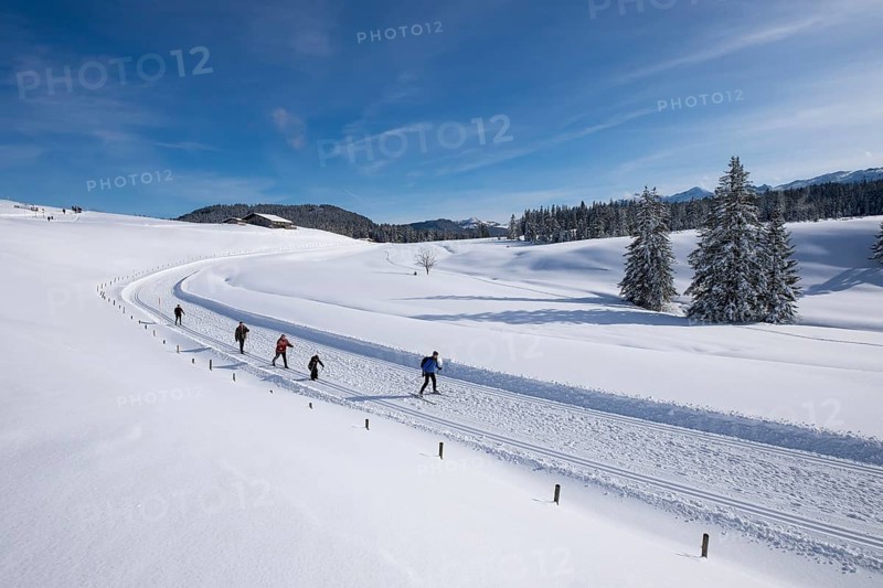 Cross-country ski run