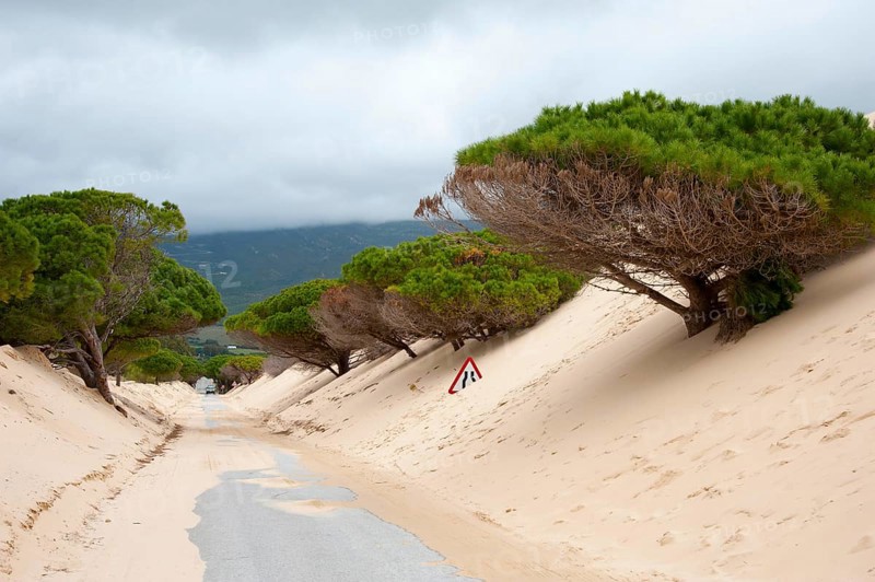 Wandering dune of Bolonia