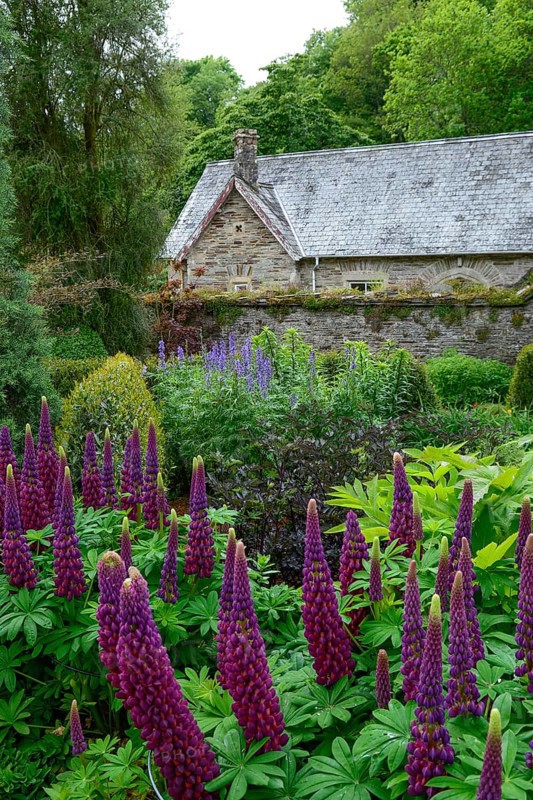 Cottage garden