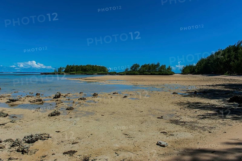 Coast