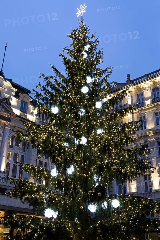 Christmas tree in front of the Pupp Hotel