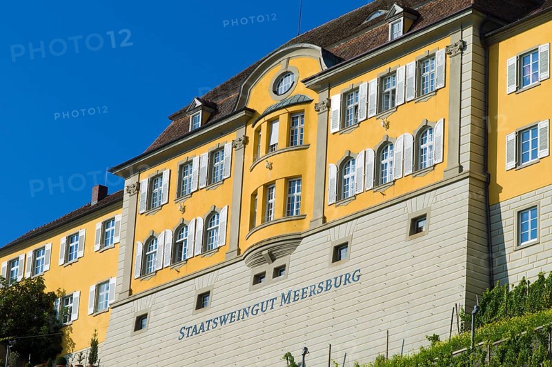 State Winery Meersburg