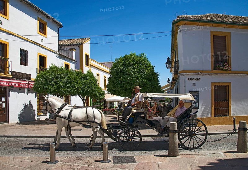 Carriage in the old town