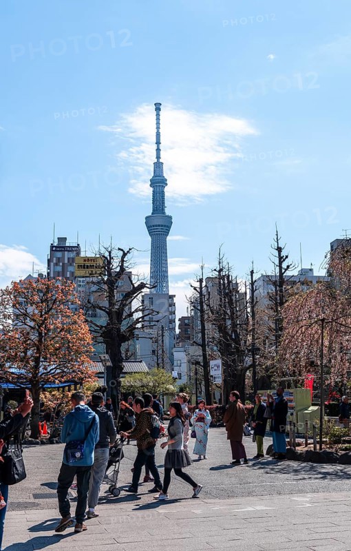 Pedestrians in a pedestrian street
