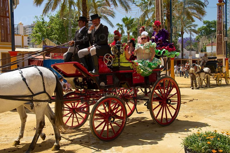Carriages at the Feria del Caballo