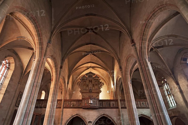 Vaults and organ loft of St. Mary's Church