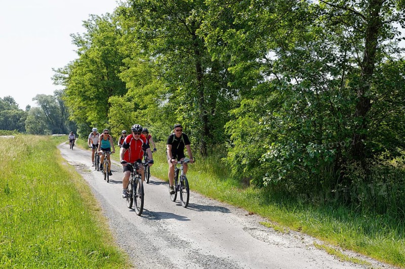 Cyclists on Lafnitztal bike path