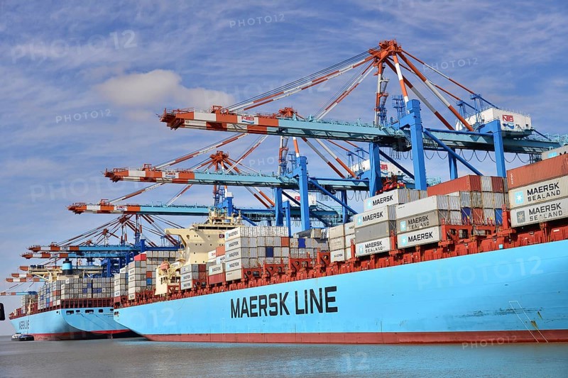 Container ship and gantry cranes