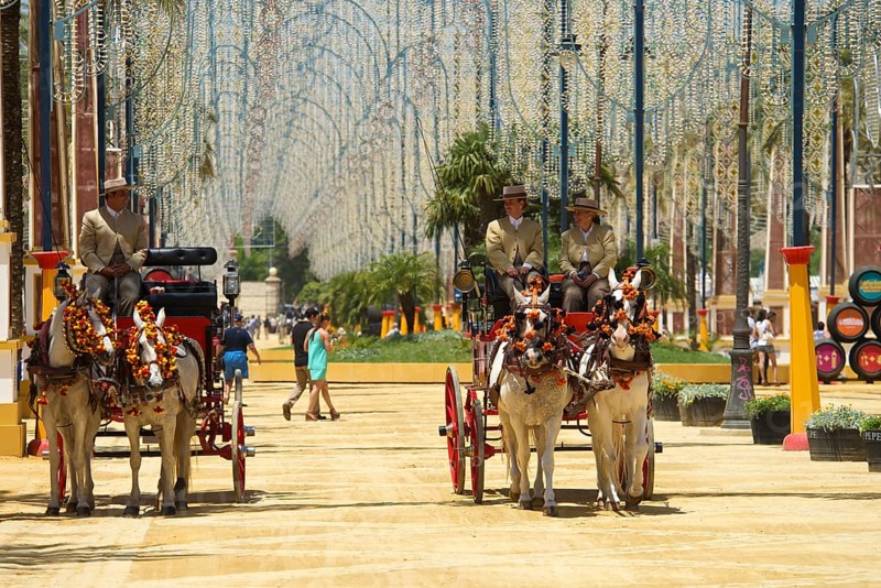 Carriages at the Feria del Caballo