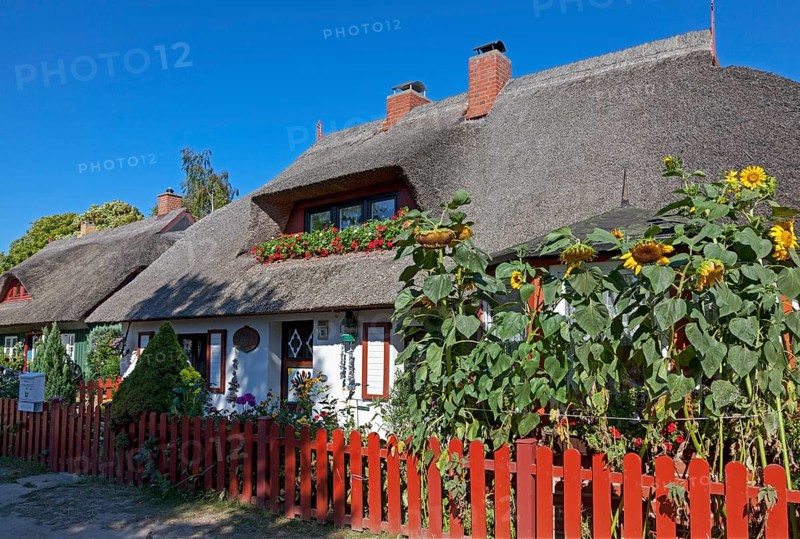 Old captain's houses