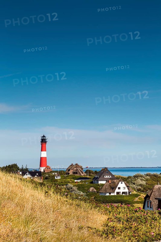 Thatched Frisian houses with lighthouse