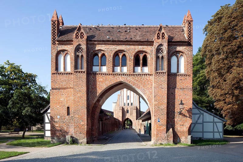 Friedlander Tor