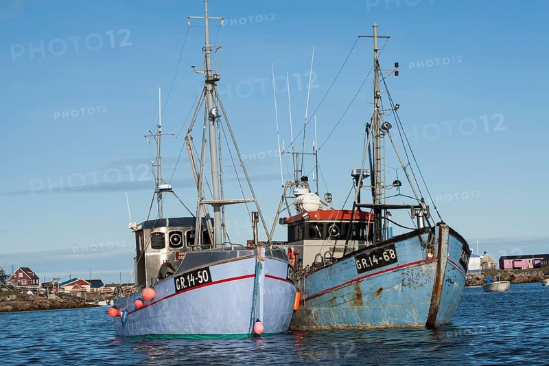 Fishing boats in the harbour