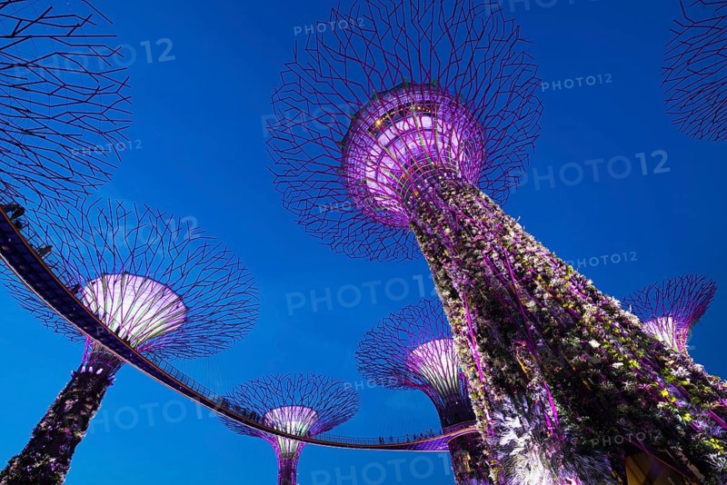 Supertrees