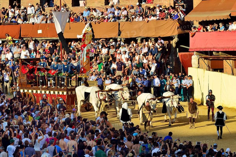 Ox cart at the historic horse race Palio di Siena
