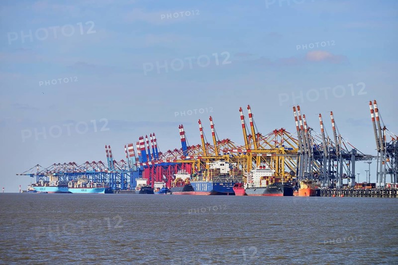 Container ship and gantry cranes