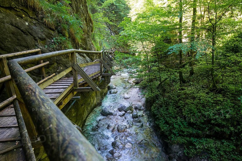 Wooden boardwalk