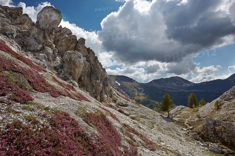 Rocks below Eisentalhohe