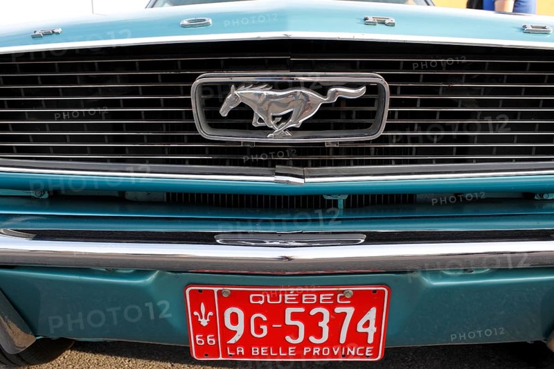 License plate