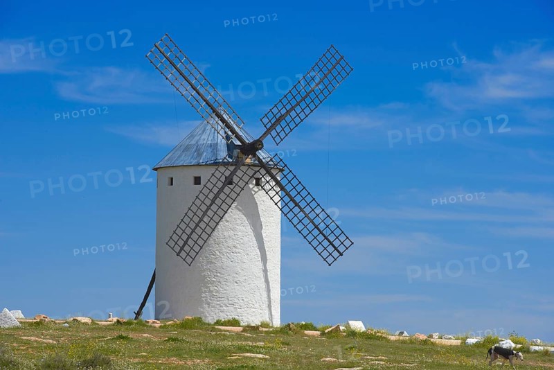 Windmill