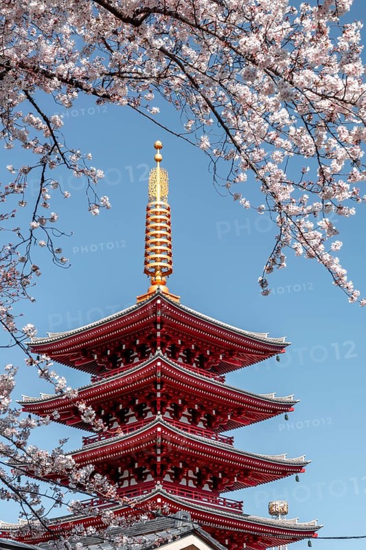 Five-story pagoda