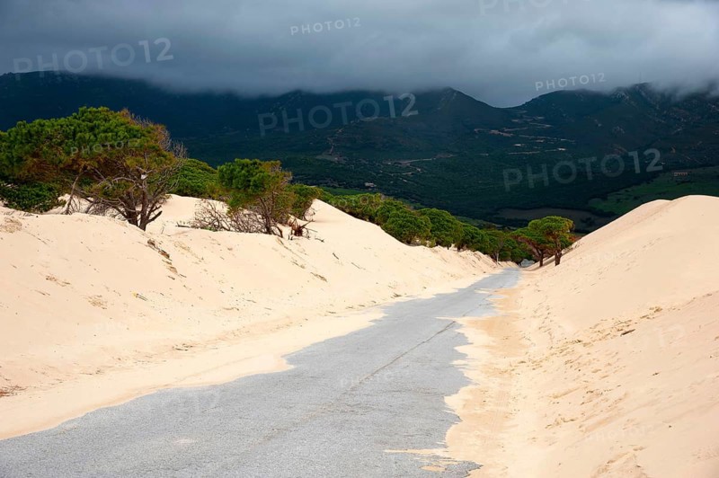 Wandering dune of Bolonia