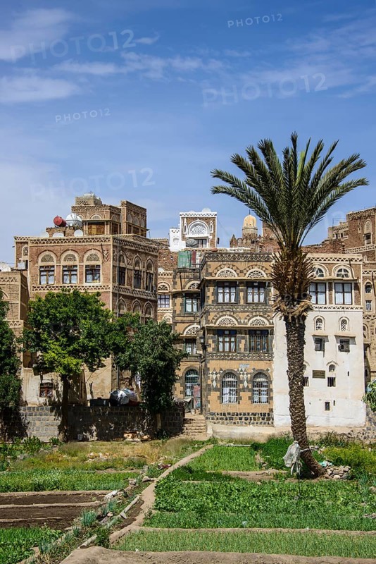 Traditional old houses in the old city of Sana'a