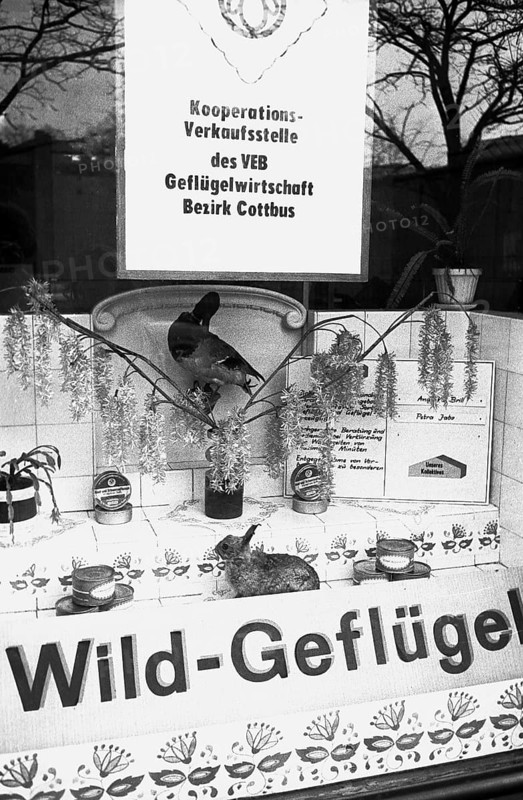 Shop window of a sales point for game and poultry with canned food