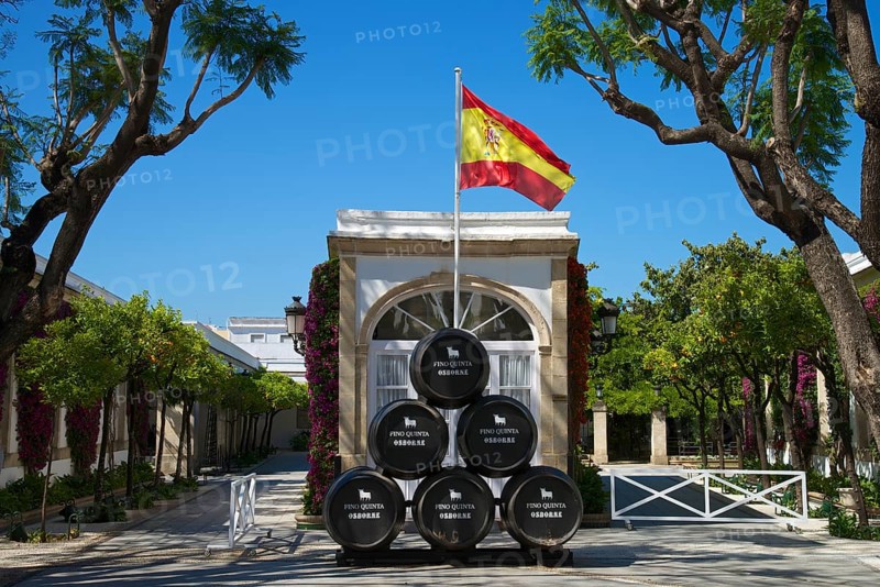 Sherry barrels at the Osborne Winery