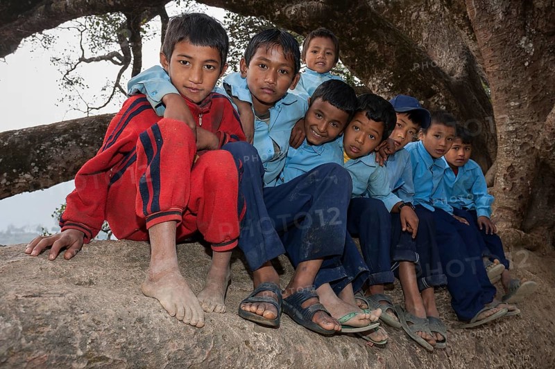 Nepalese students wearing school uniforms sitting on a tree
