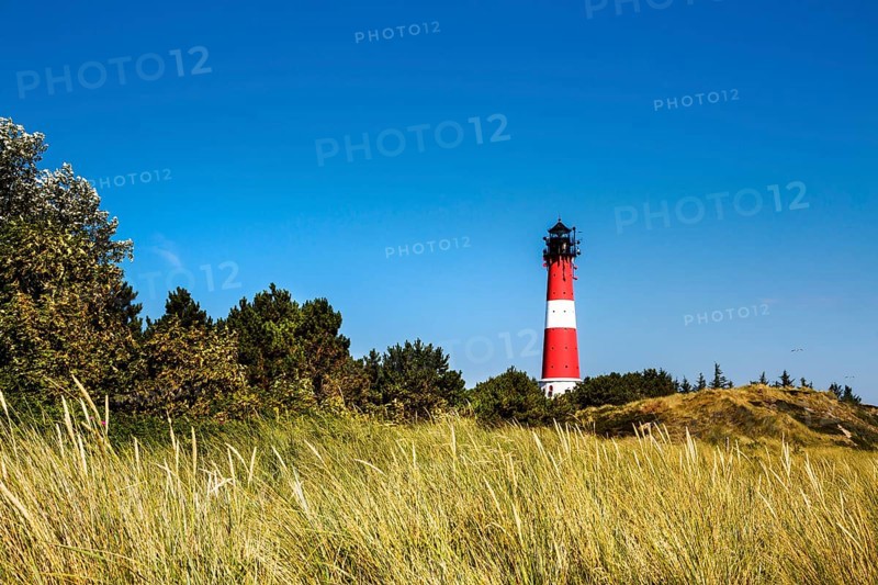 Dunes and lighthouse Hornum