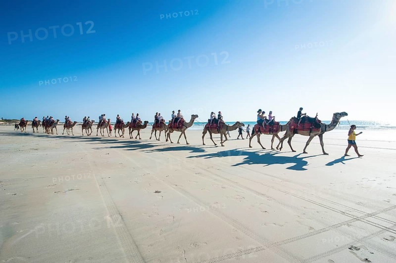 Tourists riding on camels on Cable Beach