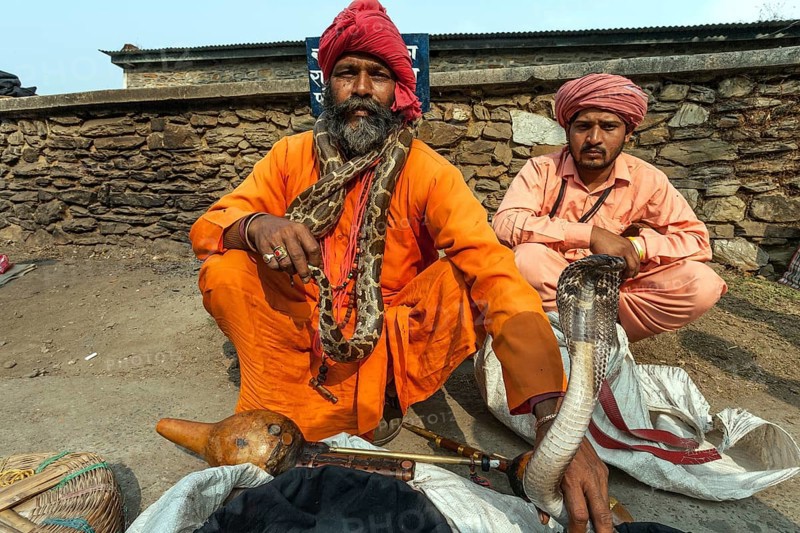Snake charmer with a cobra