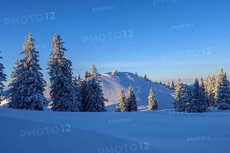 Winter landscape at Kasberg