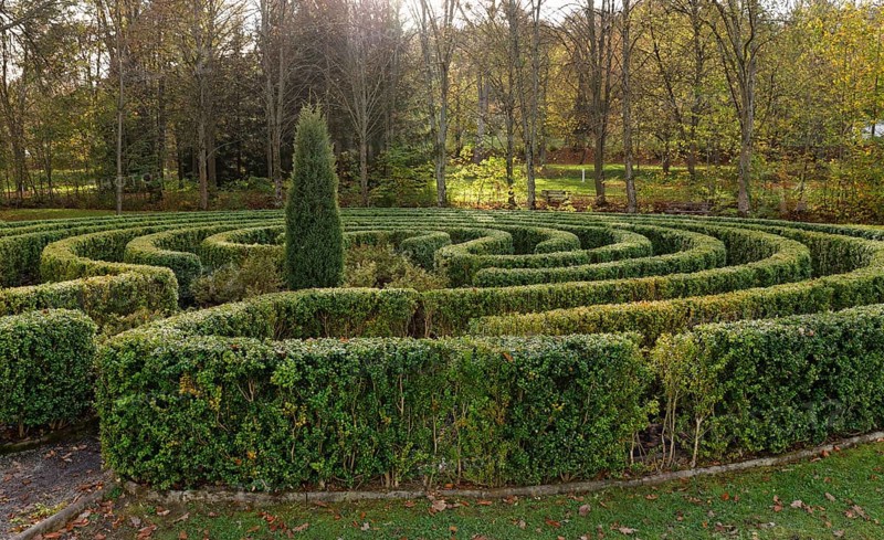 Maze